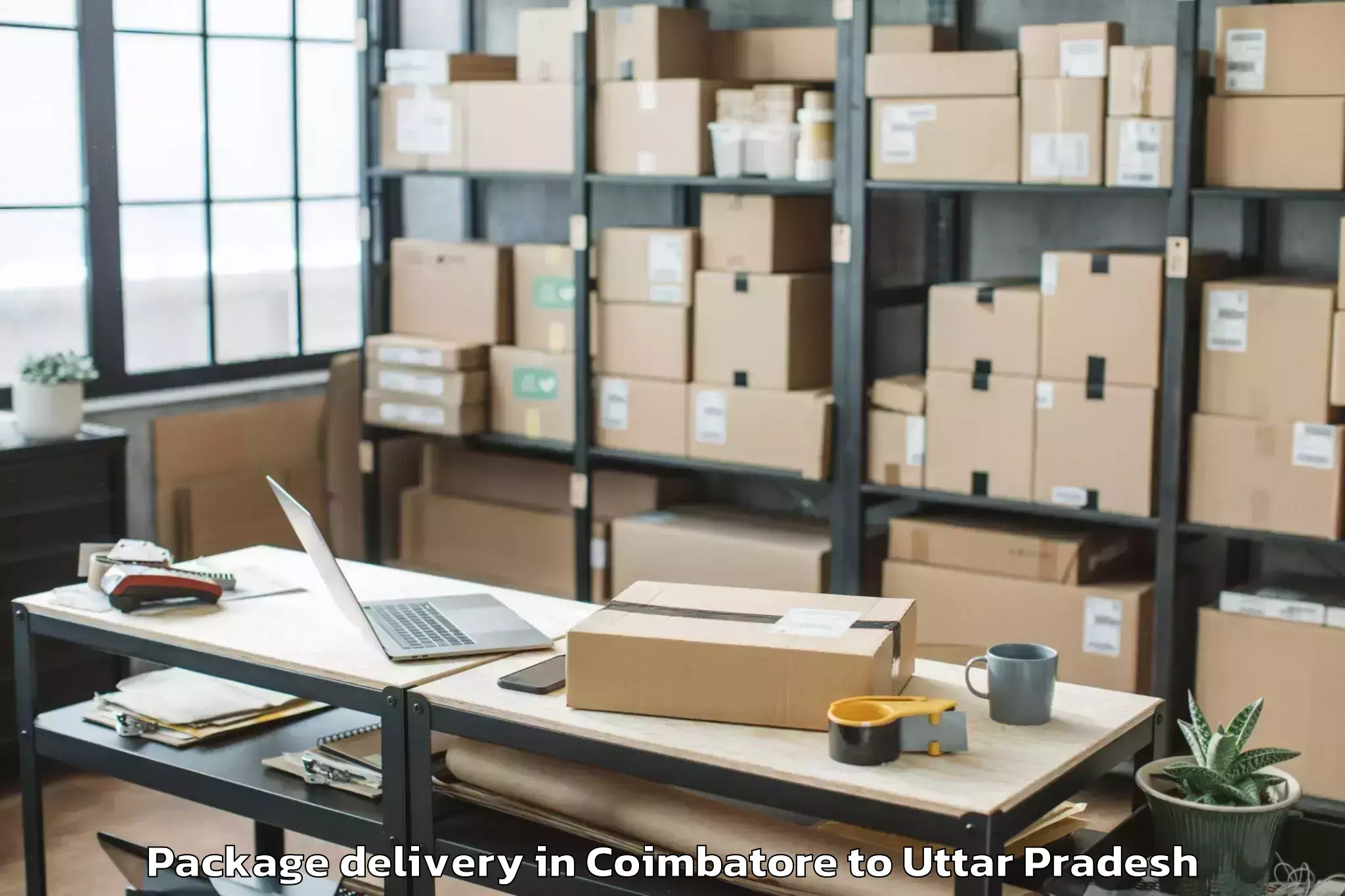 Top Coimbatore to Mehndawal Package Delivery Available